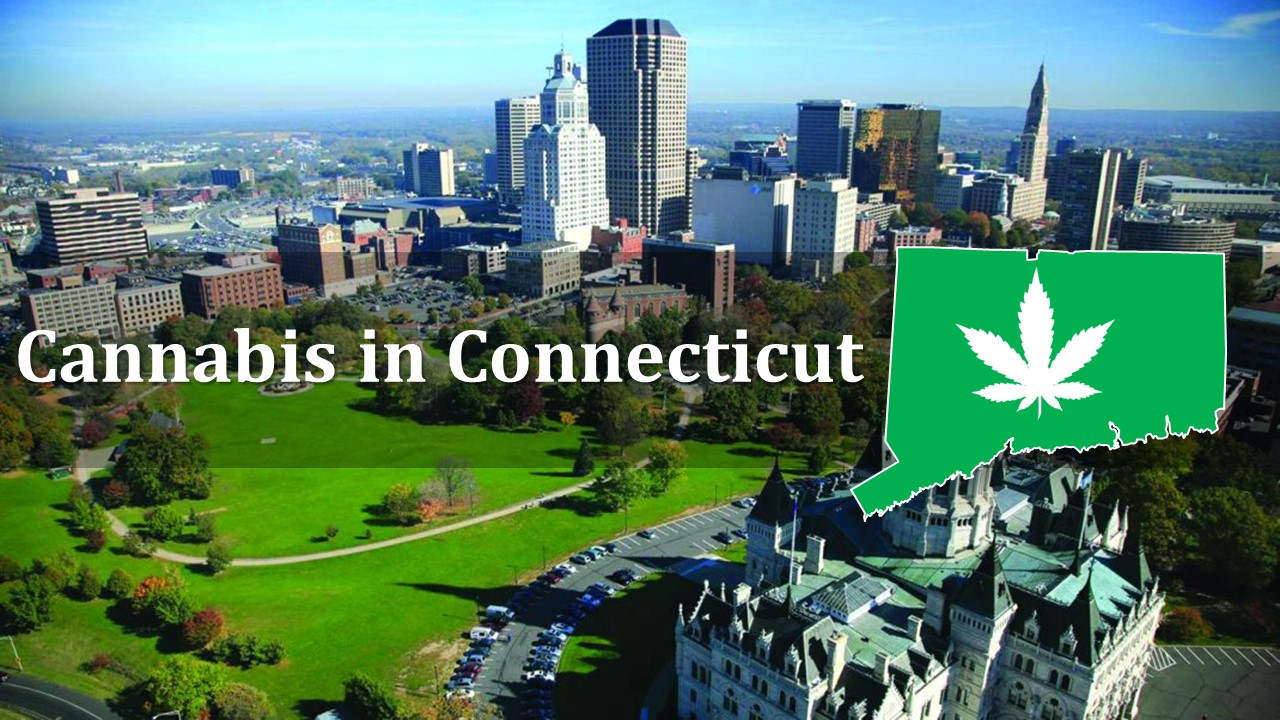 Connecticut Cannabis License Application